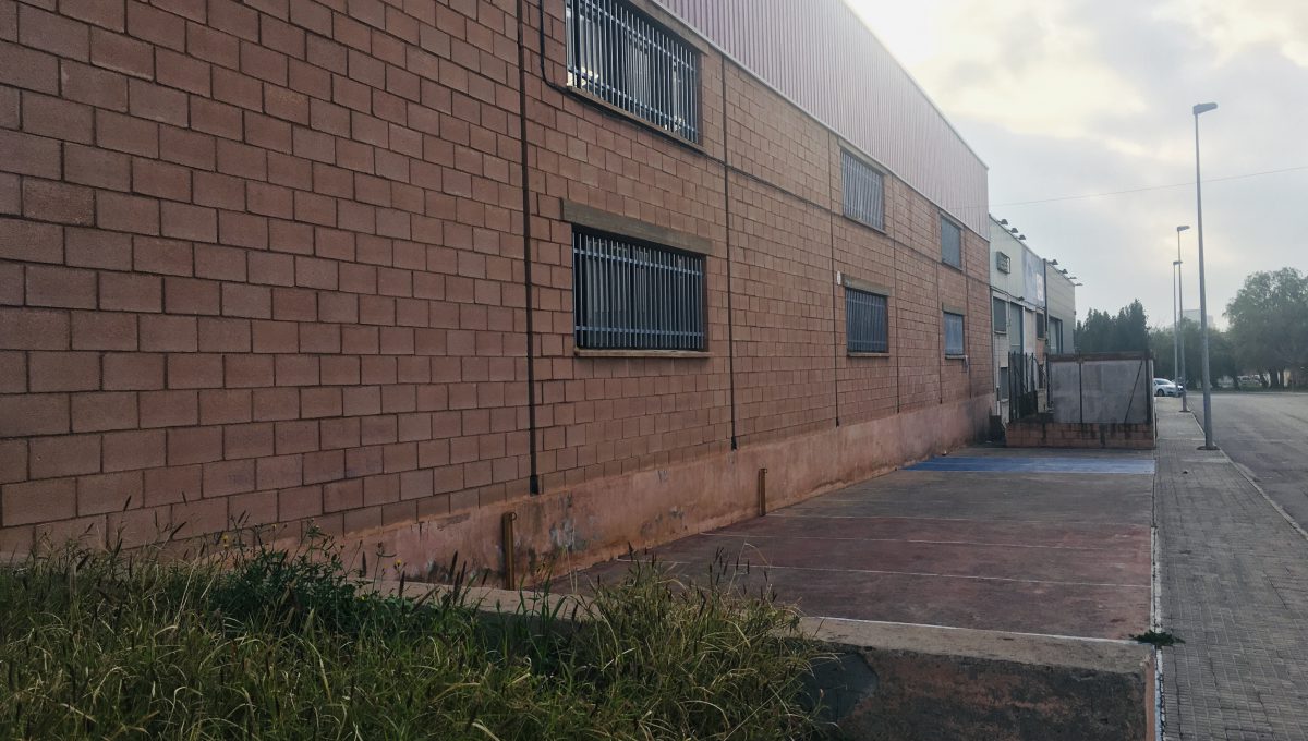 fotos ok 1 (1)