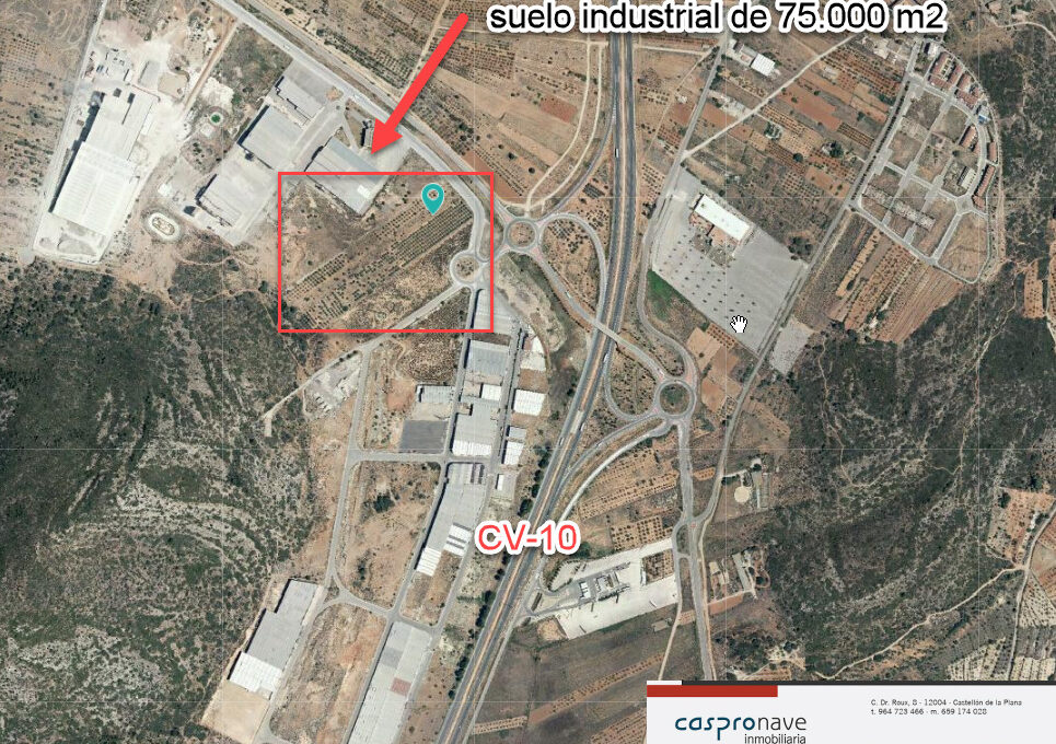 aerea 1