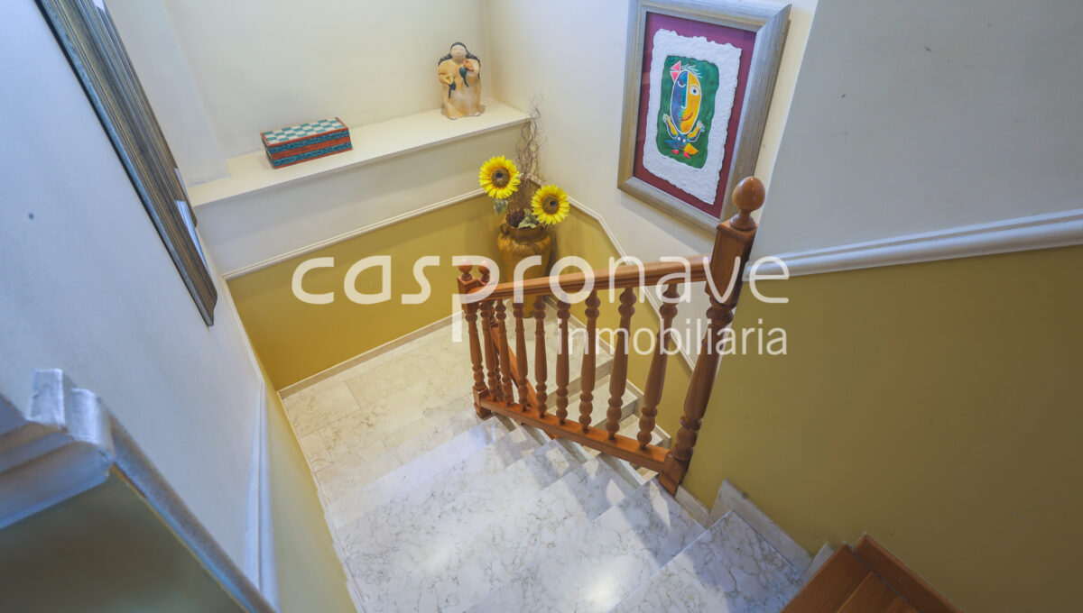 obturados__U5A0232