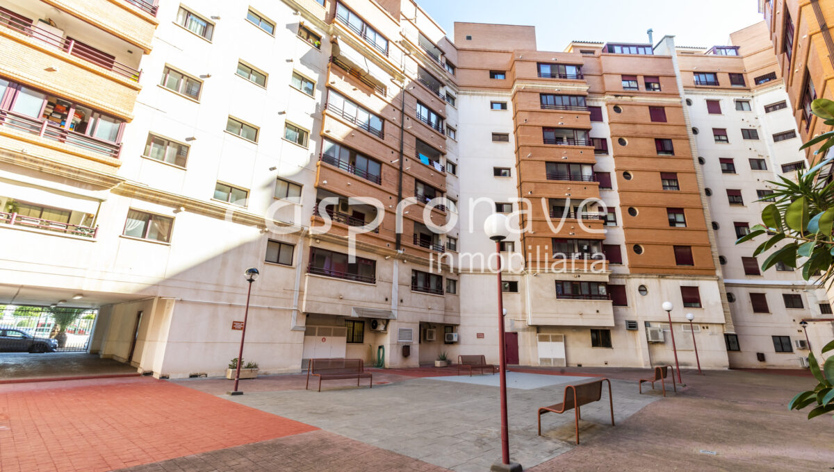 obturados__U5A0245